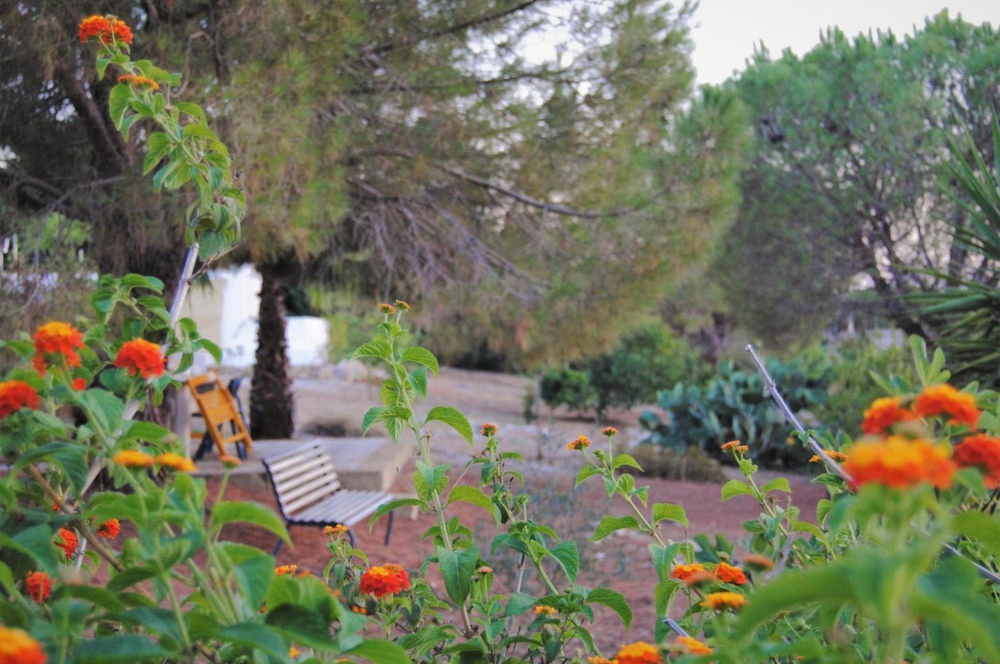 Villa Carola กัลลีโปลี ภายนอก รูปภาพ